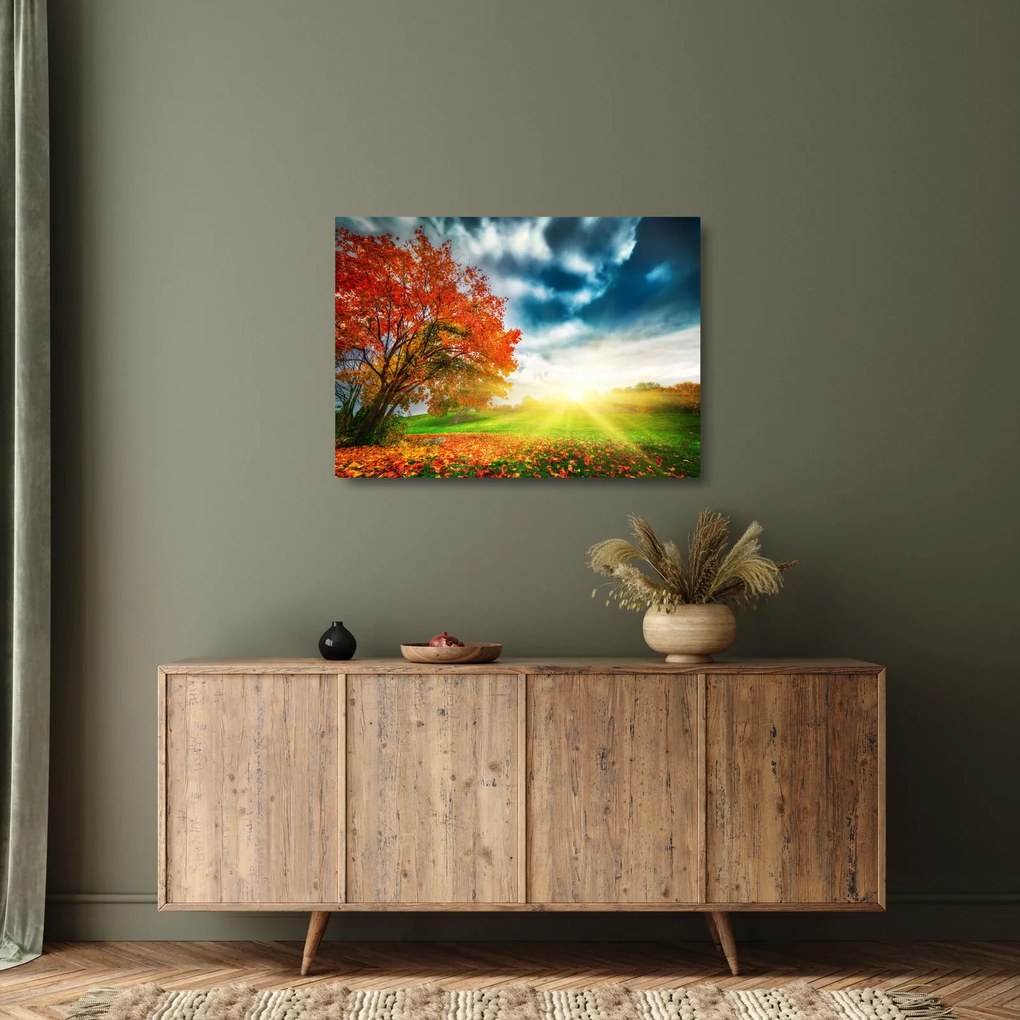 Napsütésben fürdő táj képe (üvegen) (70x50 cm)