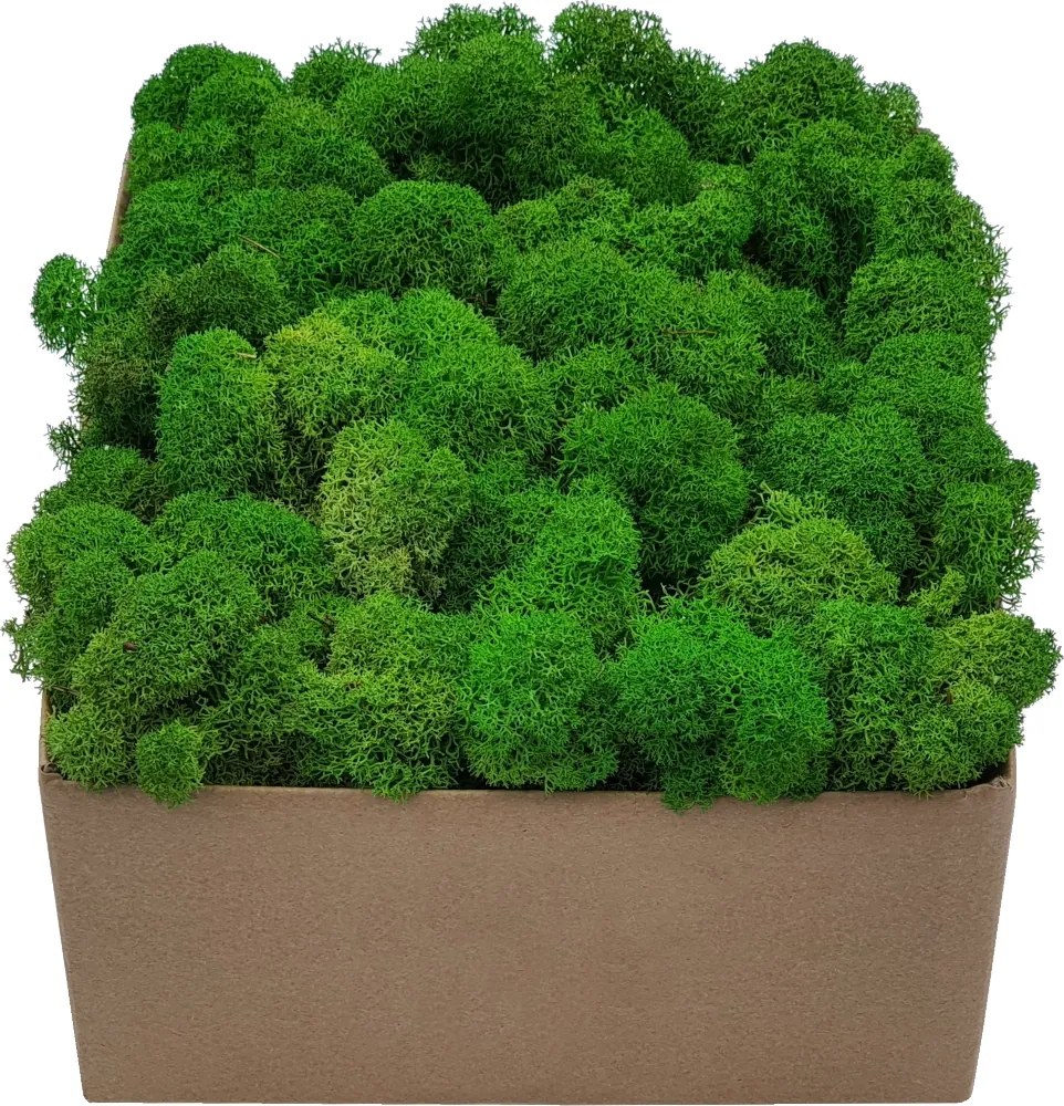 Moha Prémium Világoszöld Karton 300g