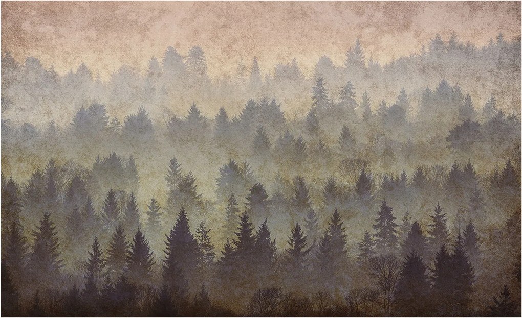 Flizelina fotótapéta Nappaliba és Hálószobába Erdei köd 416x254 Ragasztó