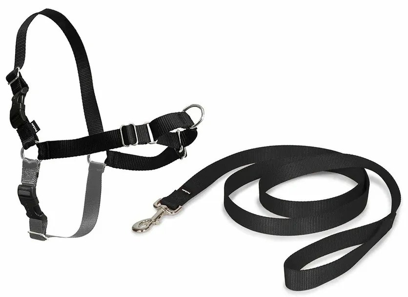 PetSafe hám EasyWalk fekete XL