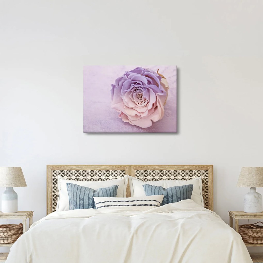 Egy rózsa virág részlete (70x50 cm)