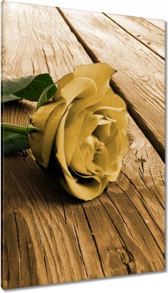 Vászonkép 80x120 Rózsa a deszkákon