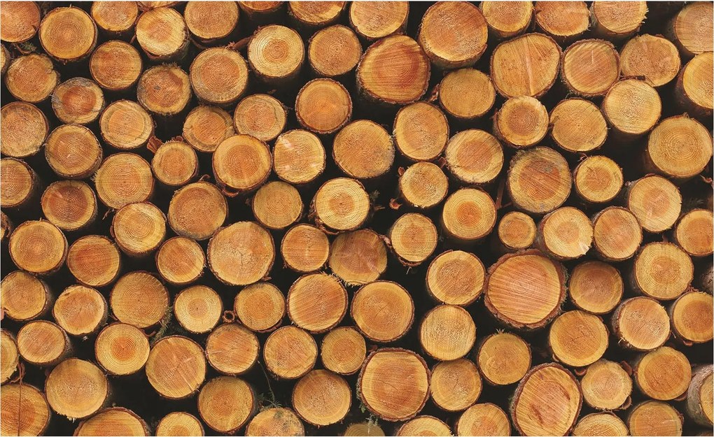 Flizelin fotótapéta Fa rönkök természetes minta 312x219 öko +ragasztó