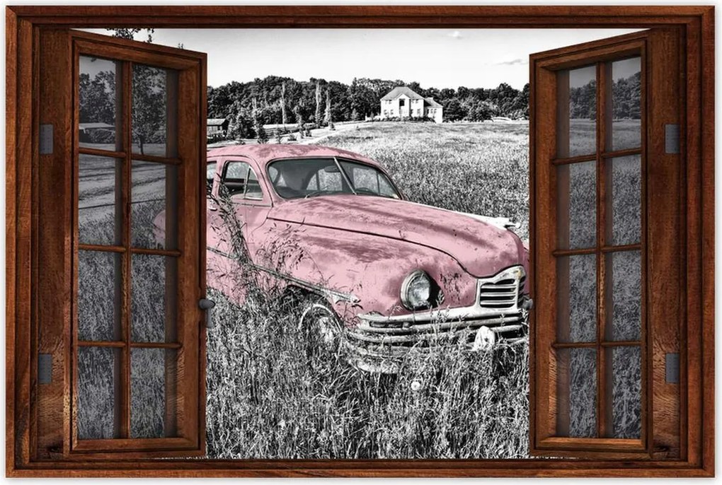 Poszter 60x40 Rózsaszín nagymama Antik