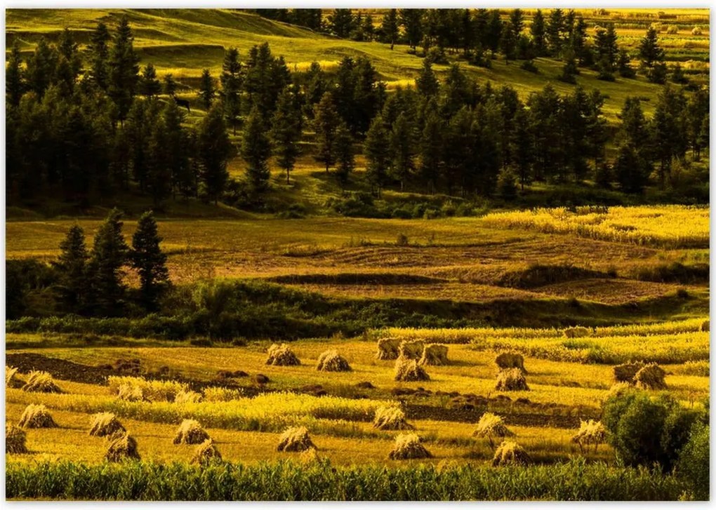 Poszterek 100x70 Tájkép Látvány