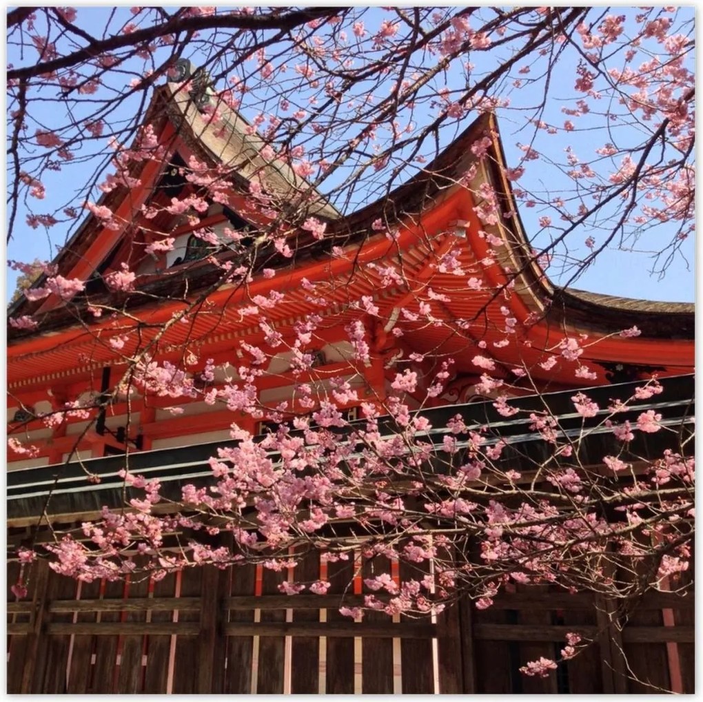 Poszterek 100x100 Japán templom