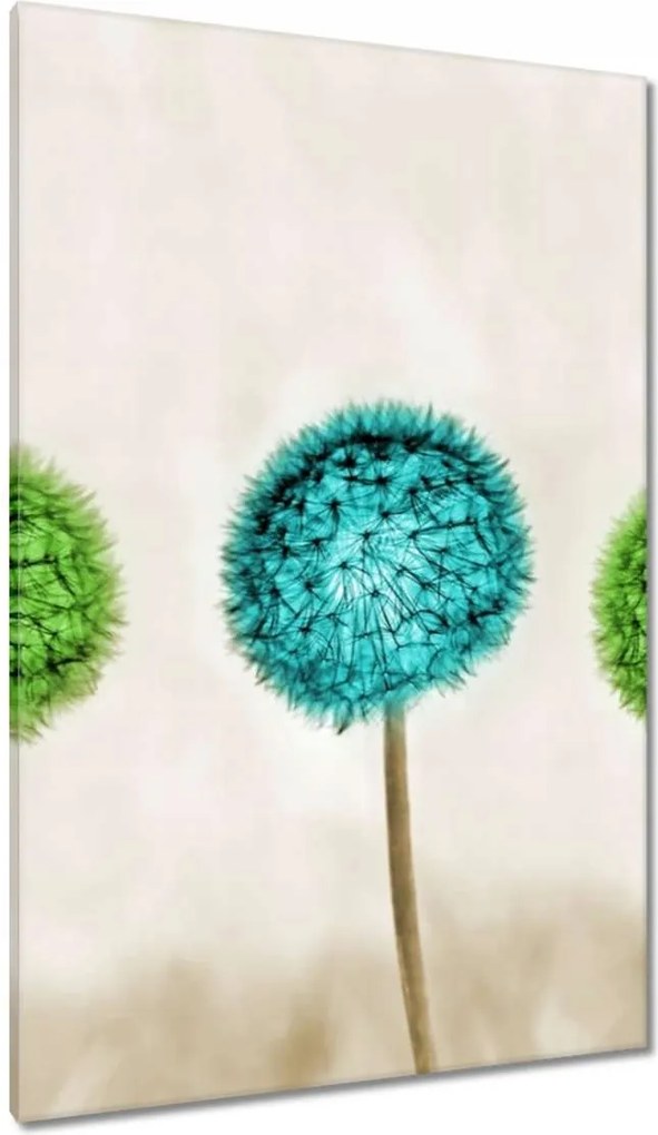 Vászonkép 80x120 Lime pitypangok