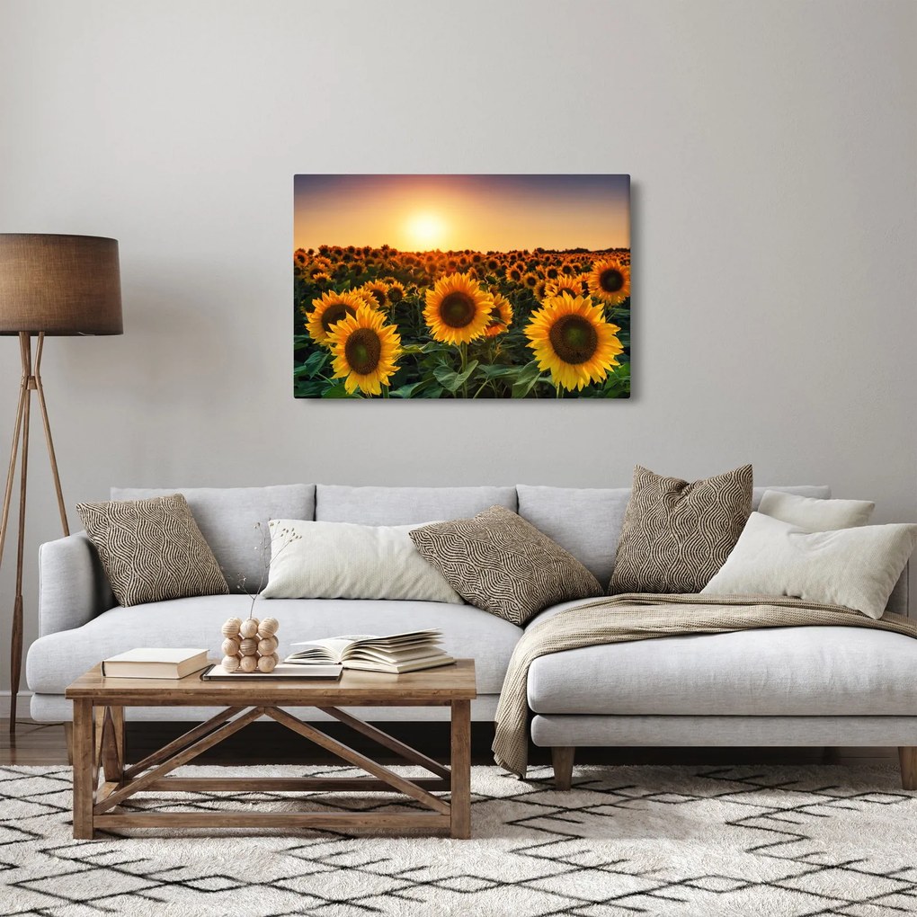 Kép - Napraforgó (90x60 cm)