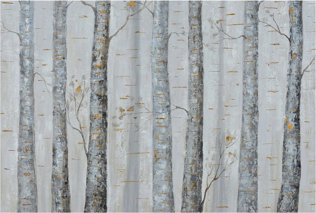 Dekoratív Fotótapéta Hálószobába Nyírfa 104x70