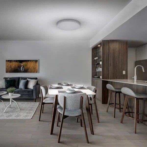 Solight WO798 - LED Dimmelhető mennyezeti lámpa LED/36W/230V 3000-6000K + távirányító