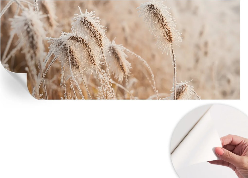 Dekoratív öntapadós fotótapéta Hálószobába Téli tájkép 250x104 cm