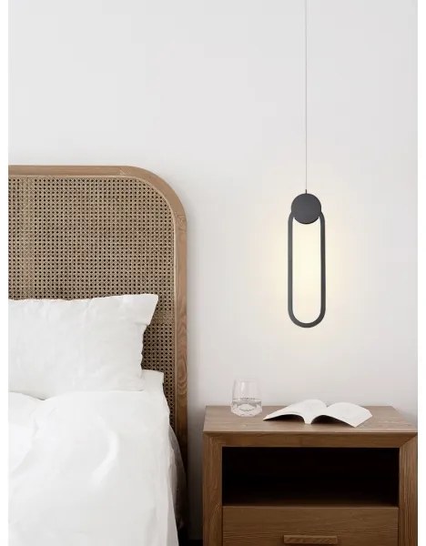 Immax NEO 07232L - LED Dimmelhető csillár zsinóron LITE OVALE LED/22W/230V + távirányító