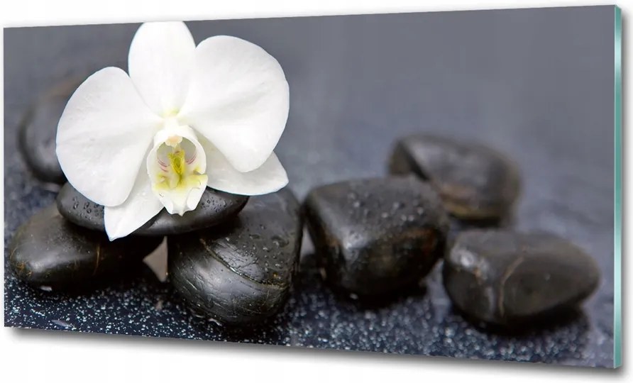 Fotó kép edzett üveg Pipacsok 100x70