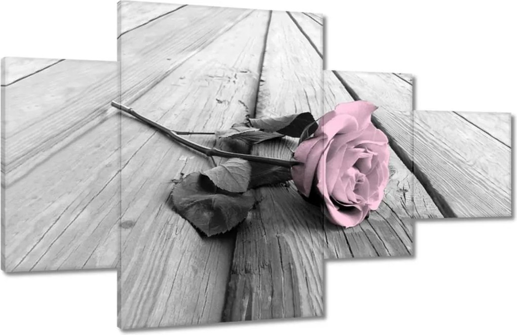 Vászonkép 130x80 Púderrózsaszín Old pink Rose