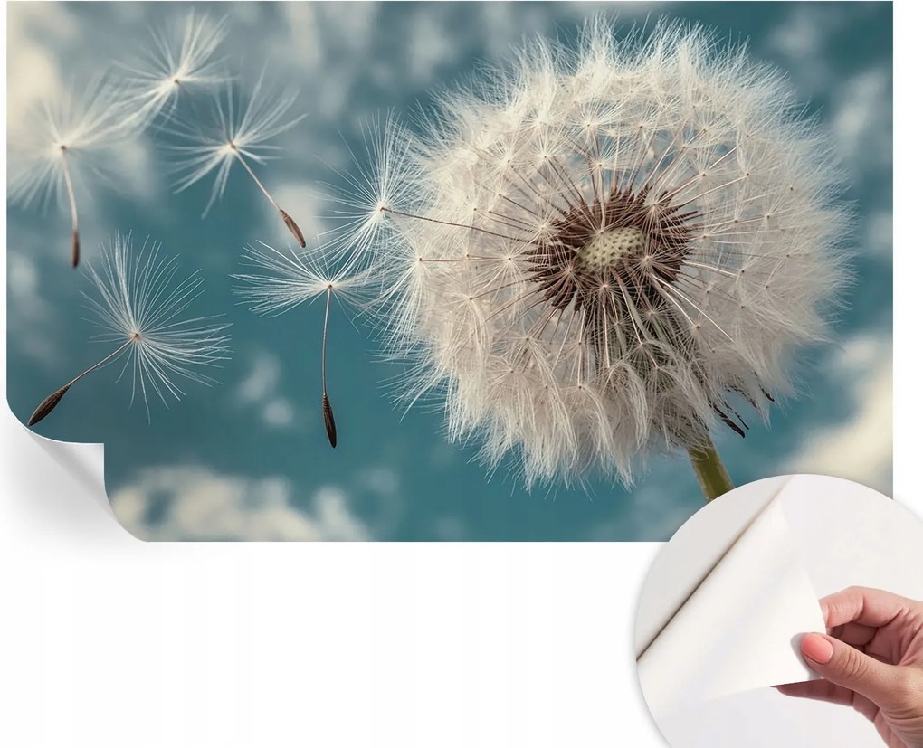 Öntapadós Dekoratív Fotótapéta Hálószobába Könnyű éteriség 416x254