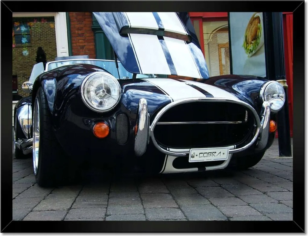 Poszterek keretben 40x30 Cobra 427