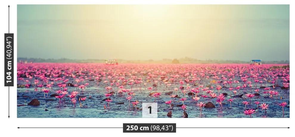 Fotótapéta Víz liliom tó 104x70 cm