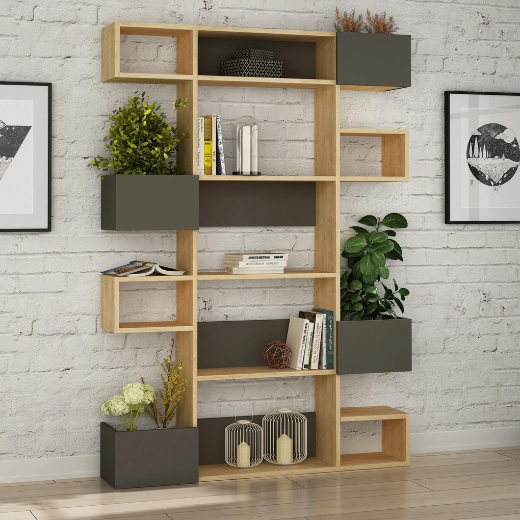 könyvespolc Niho - Oak, Anthracite