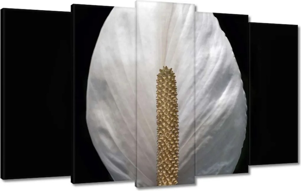 Vászonkép 100x60 Virágok