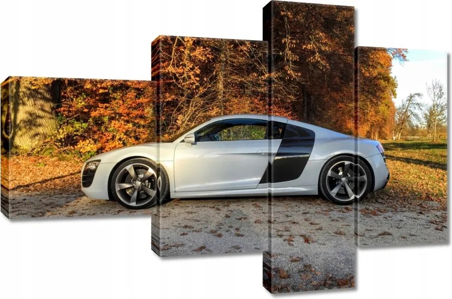 Vászonkép 100x70 Fehér Audi Tt