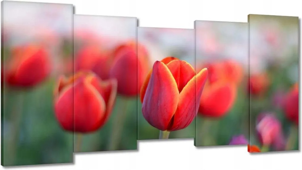Vászonkép 150x80 Tulipánok Virágok