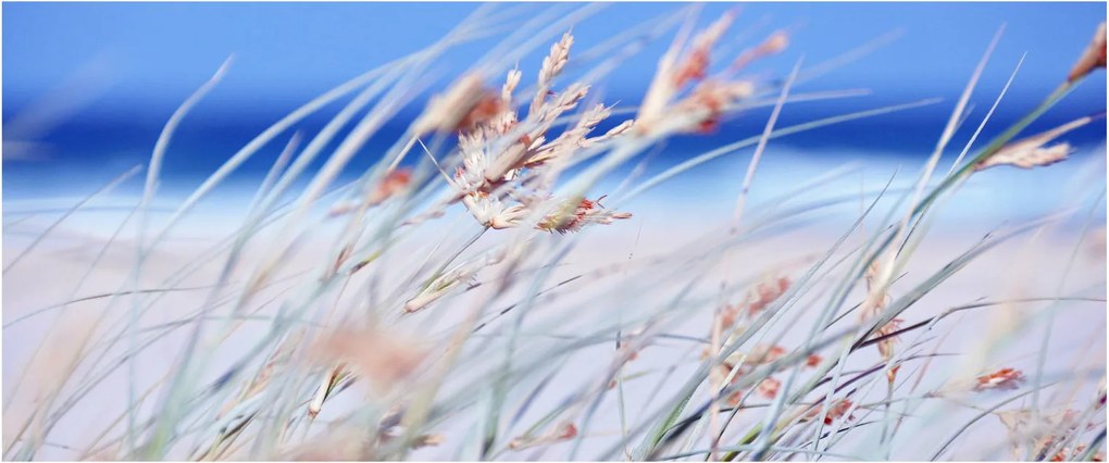 Kép - Szellő (120x50 cm)