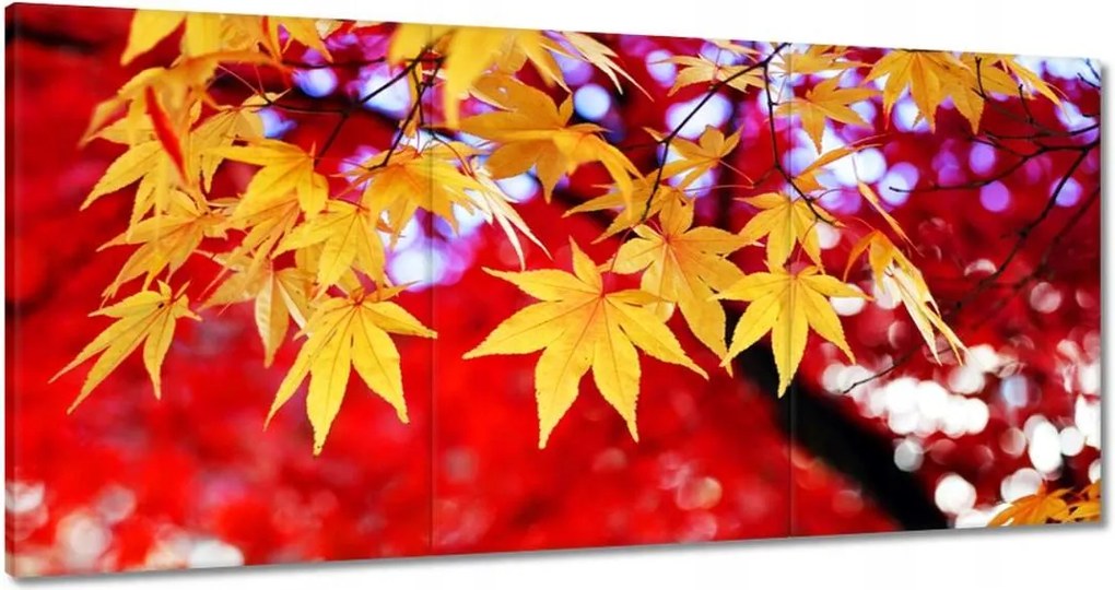 Vászonkép 180x90 Sárga őszi levél