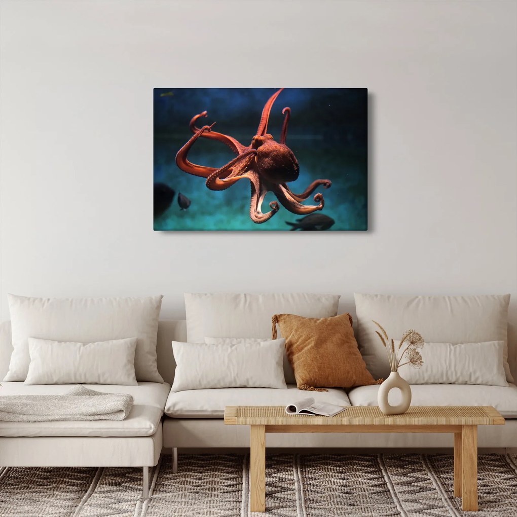 Kép - Octopus (90x60 cm)
