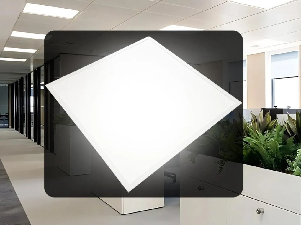 LED panel backlite 40W / 595x595 / SMD / 4000K / WH - PL5224