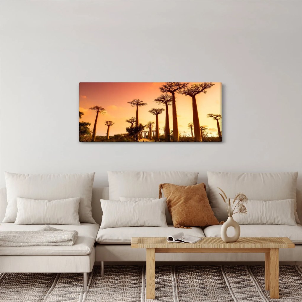 Kép - Naplemente a Baobab Alley-ben (120x50 cm)