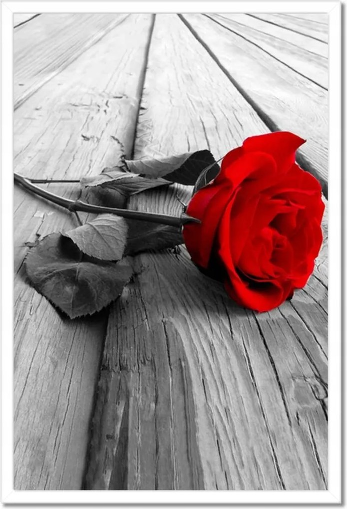 Poszterek keretben 40x60 Vörös rózsa a deszkákon