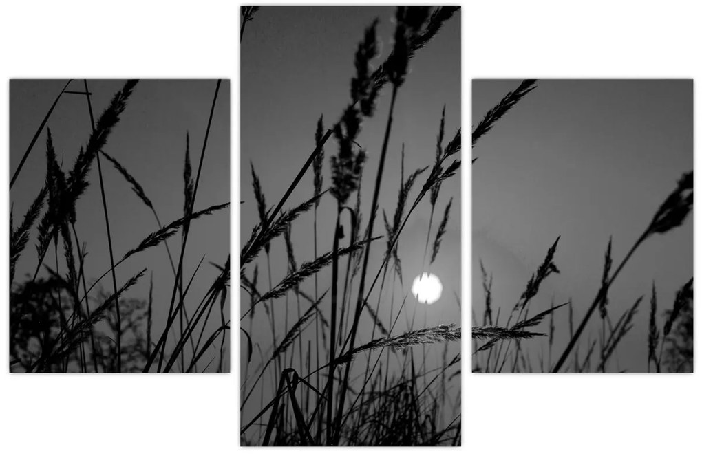 Kép - rét naplementével (90x60 cm)