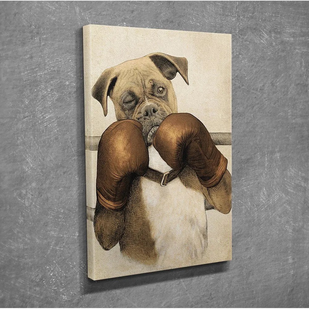 Boxer vászon fali kép, 30 x 40 cm