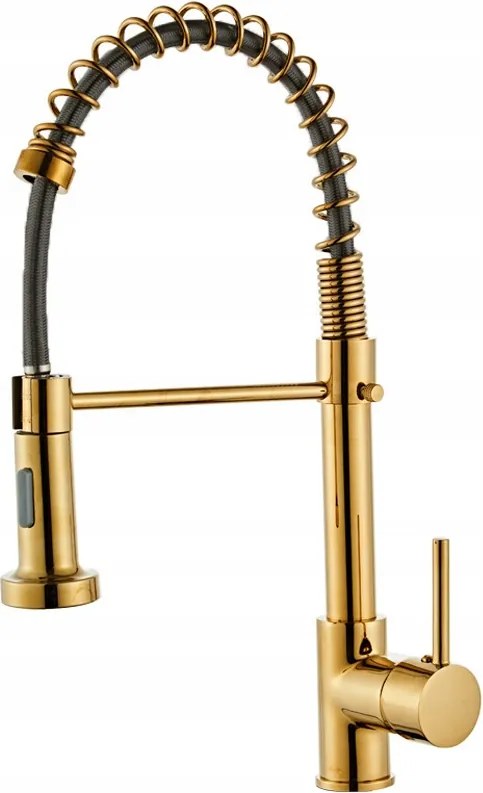 Konyhai Csaptelep Arany Kihúzható Kifolyócső Flexibilis Arany Rugó