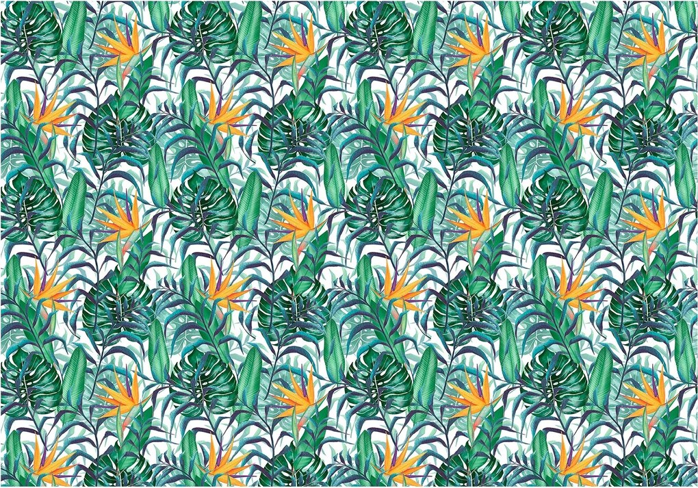 Flizelin fotótapéta Trópusi paradicsom Strelicia és egzotikusság 200x140 +ragasztó