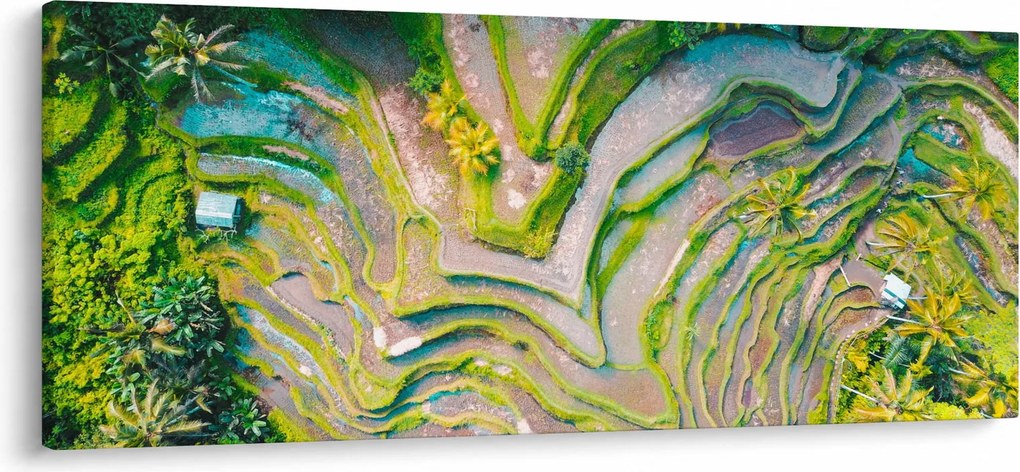 A rizsföldek képe madártávlatból (120x50 cm)