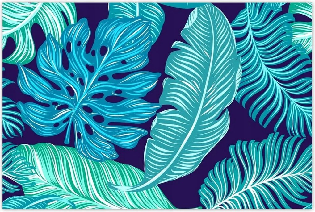 Poszterek 120x80 Levelek Monstery Trópusok