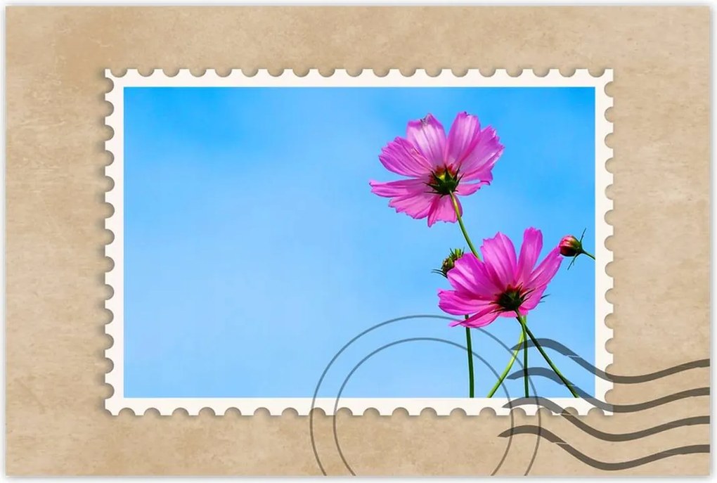 Poszterek 90x60 Kozmikus virágok