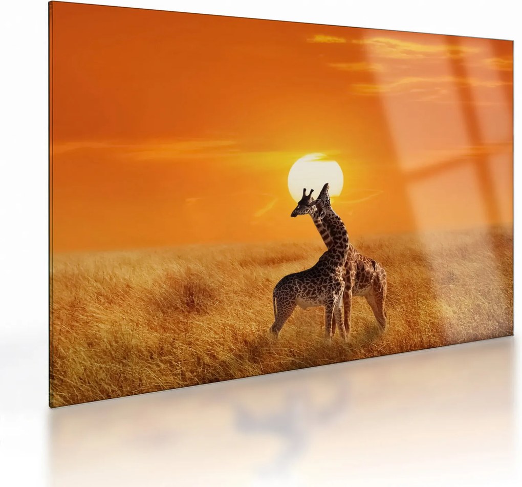 Üveg kép - Zsiráfok a Serengeti Nemzeti Parkban (70x50 cm)