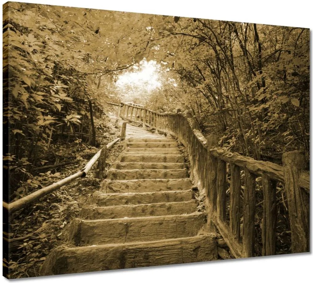 Vászonkép 50x40 Lépcsők szépia színben