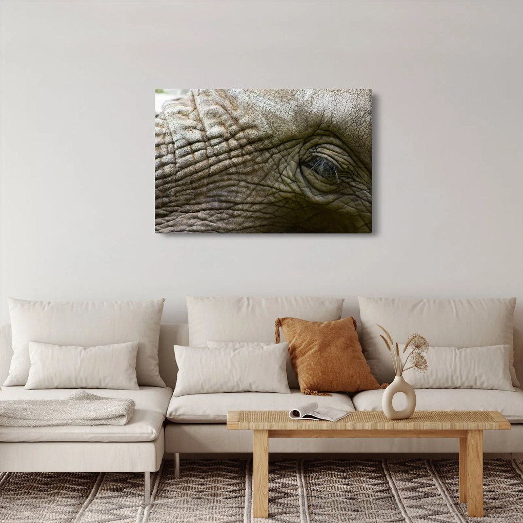 Kép - Közelkép az öreg elefánt szeméről (90x60 cm)