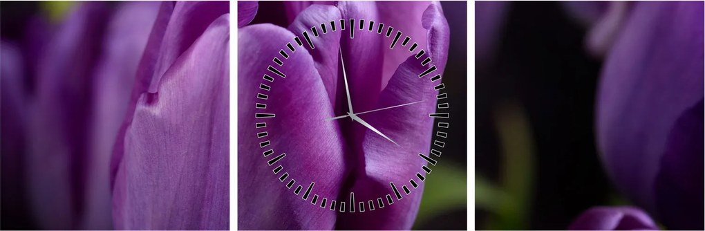 Tulipán vírág képe (órával) (90x30 cm)