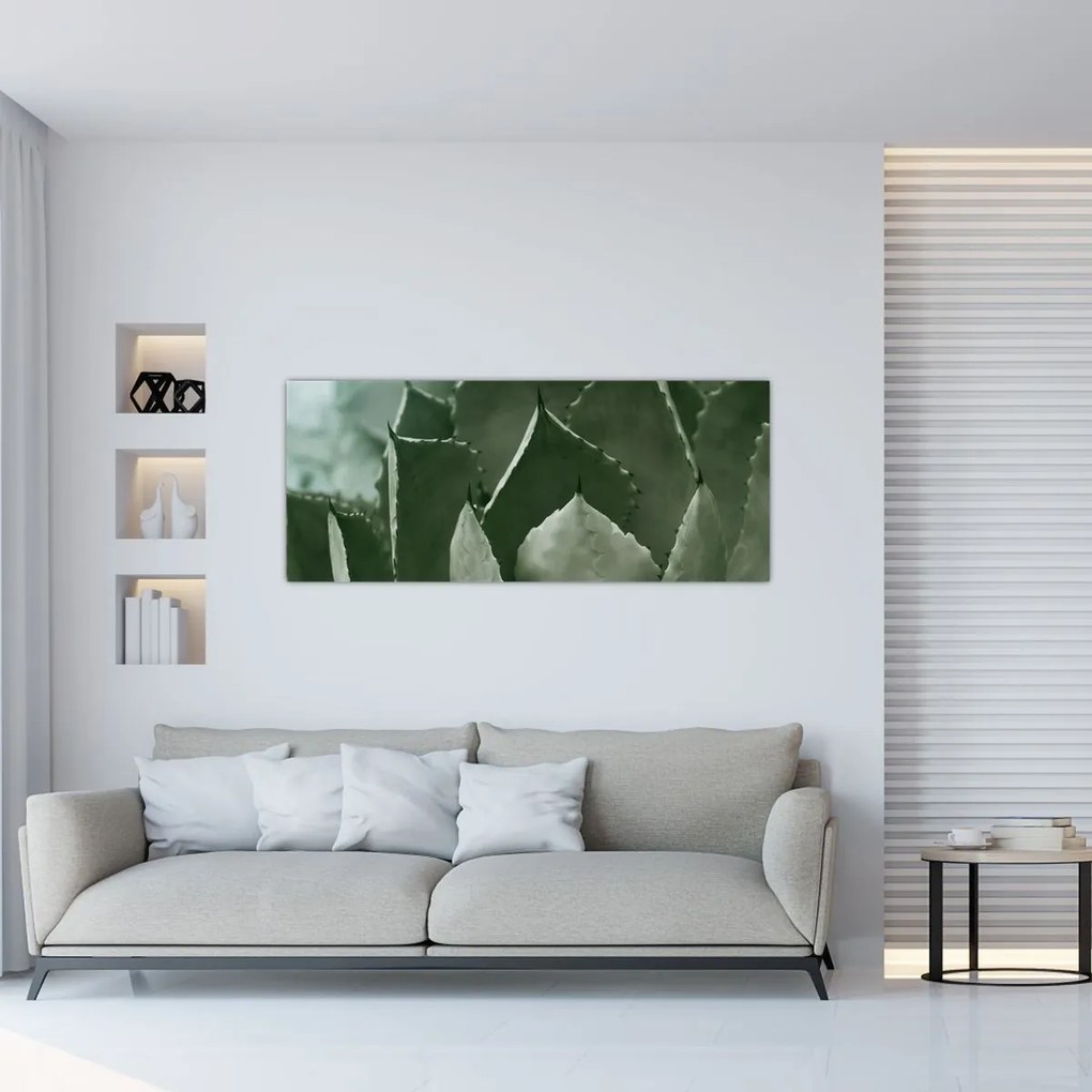 Kép - Zöld agávé (120x50 cm)