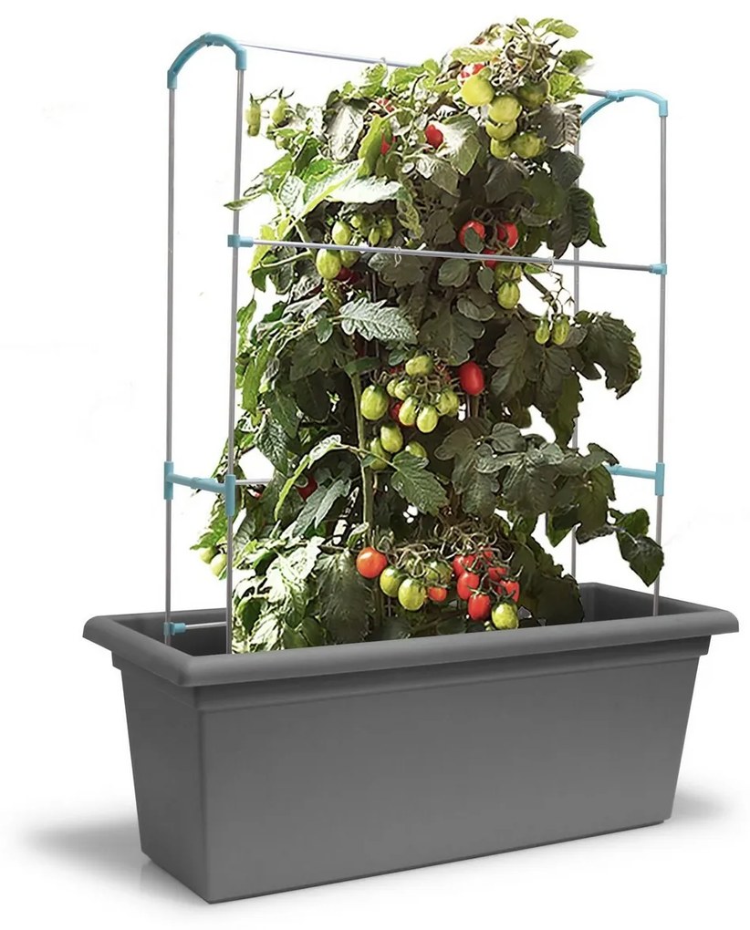 Gardenico függőleges támasz Zöld fal Magnus, 100cm, 100 cm