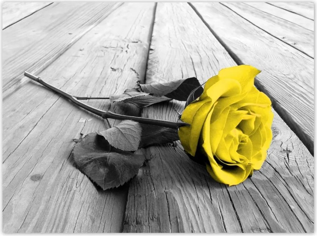 Poszterek 135x100 Sárga rózsa a deszkákon