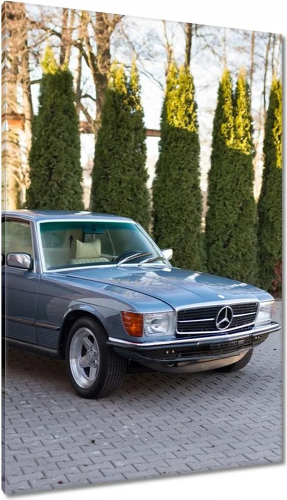 Vászonkép 80x120 Mercedes 450 Slc Klasszikus