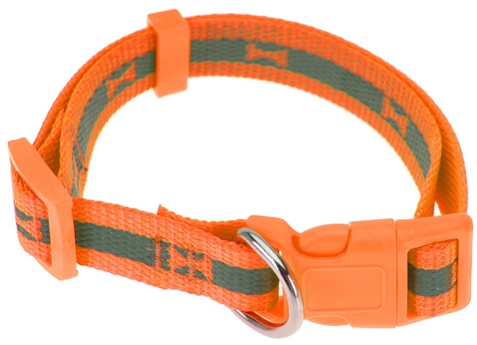 Neon narancssárga kutyanyakörv, S méret