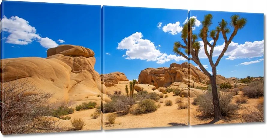 Vászonkép 210x100 Sivatagi táj