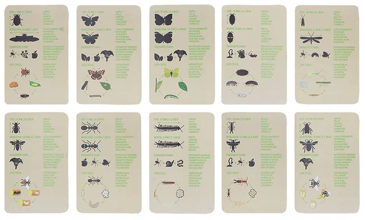 Bogaras felfedező szett gyerekeknek, 6 db-os