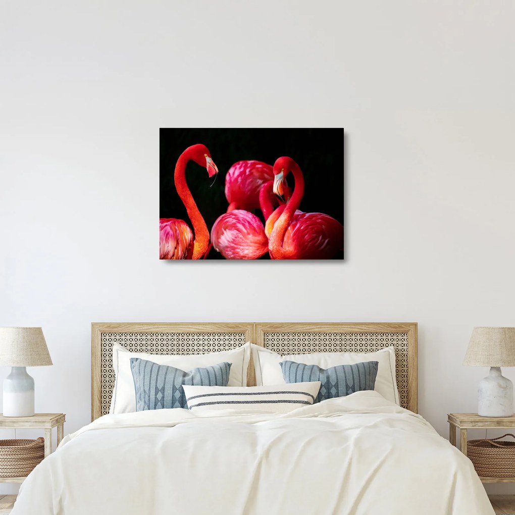 Vörös flamingók képe
 (üvegen) (70x50 cm)